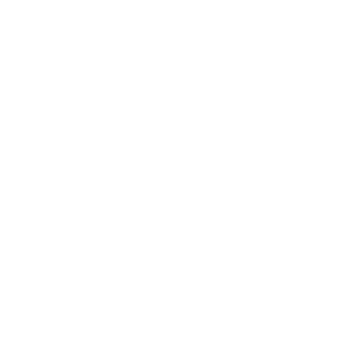 code icon